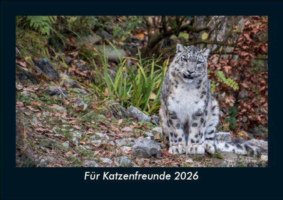 Für Katzenfreunde 2026 Fotokalender DIN A5 - Tobias Becker