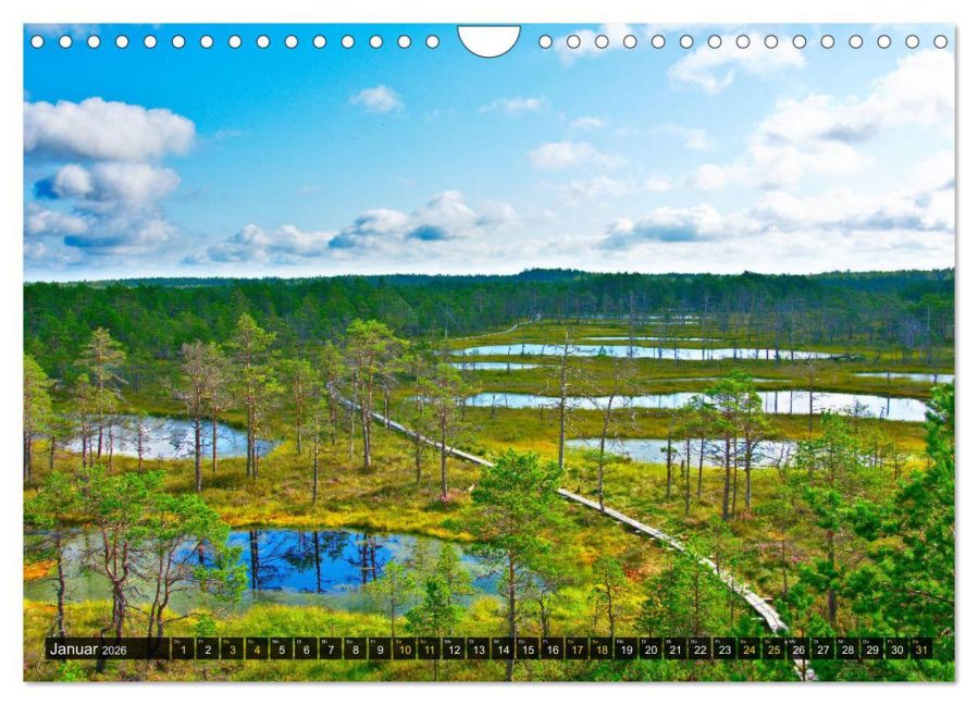 InsideView 6