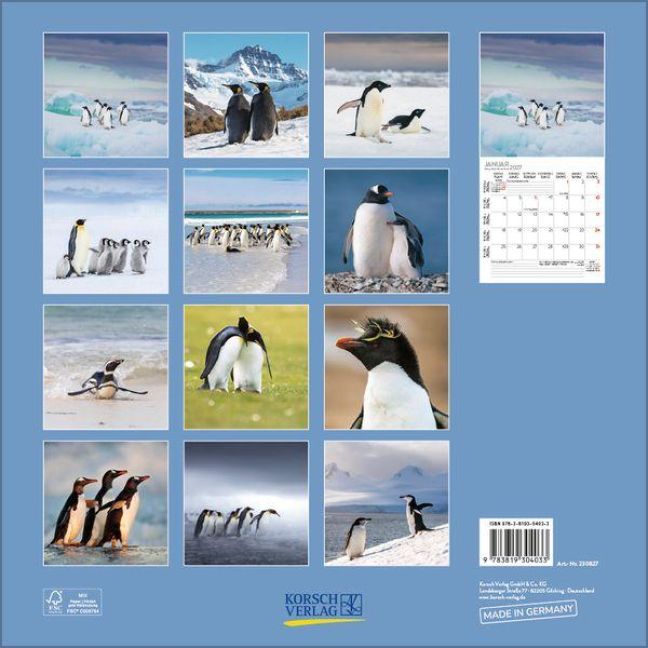 InsideView 13