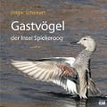Gastvögel der Insel Spiekeroog 01 - Edgar Schonart