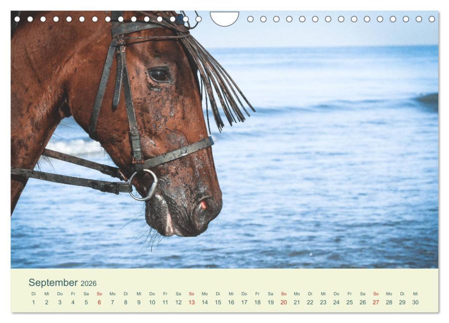 InsideView 14