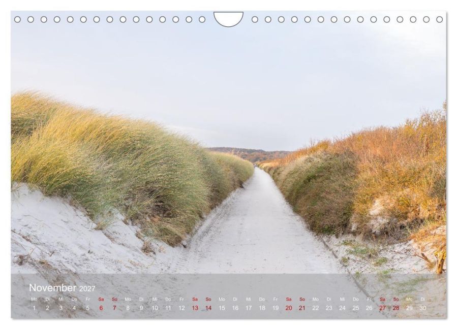 InsideView 3