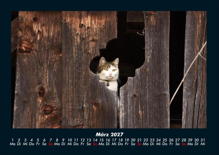 InsideView 7