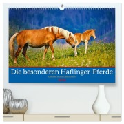 Cover-Bild zum Titel 'Die besonderen Haflinger-Pferde (hochwertiger Premium Wandkalender 2026 DIN A2 quer), Kunstdruck in Hochglanz' von 'Torsten Irmer'