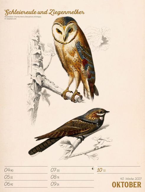 InsideView 44