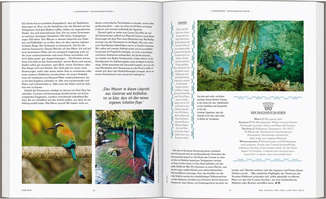 InsideView 3