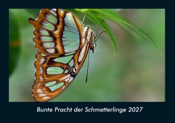 Cover-Bild zum Titel 'Bunte Pracht der Schmetterlinge 2027 Fotokalender DIN A4' von 'Tobias Schmitt, Kevin Heber'