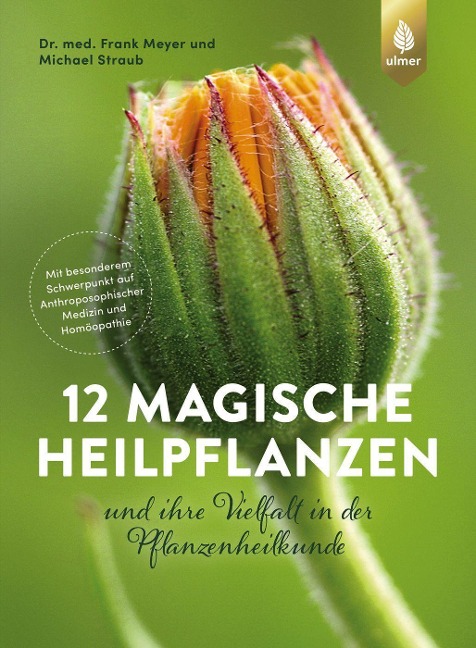 12 magische Heilpflanzen - Frank Meyer, Michael Straub