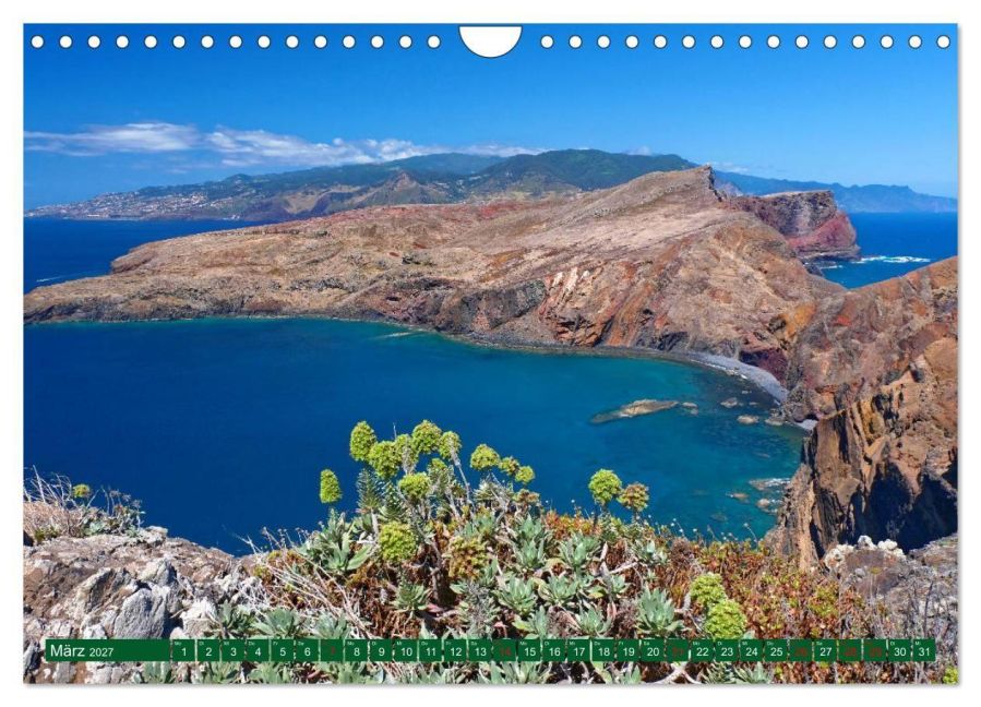 InsideView 8