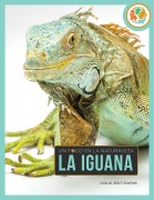 Cover-Bild zum Titel 'La Iguana' von 'Lisa M Bolt Simons'