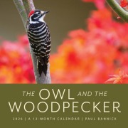 Cover-Bild zum Titel 'The Owl & the Woodpecker 2026' von 'Paul Bannick'