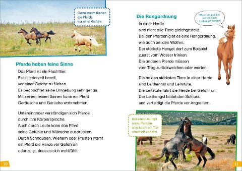 InsideView 4