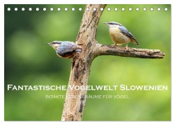Cover-Bild zum Titel 'Fantastische Vogelwelt Slowenien (Tischkalender 2026 DIN A5 quer), CALVENDO Monatskalender' von 'Stephan Peyer'