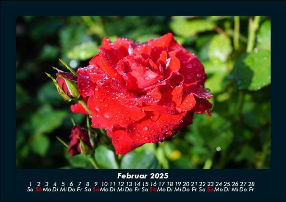 InsideView 6