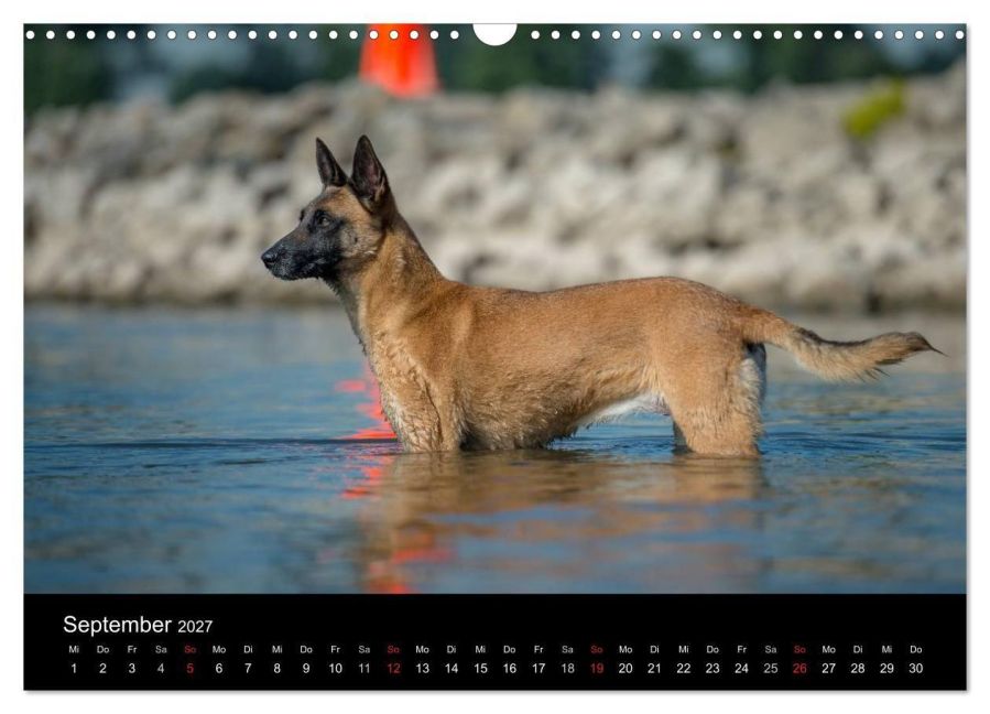 InsideView 14