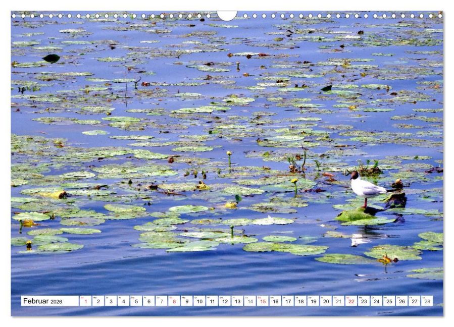InsideView 7