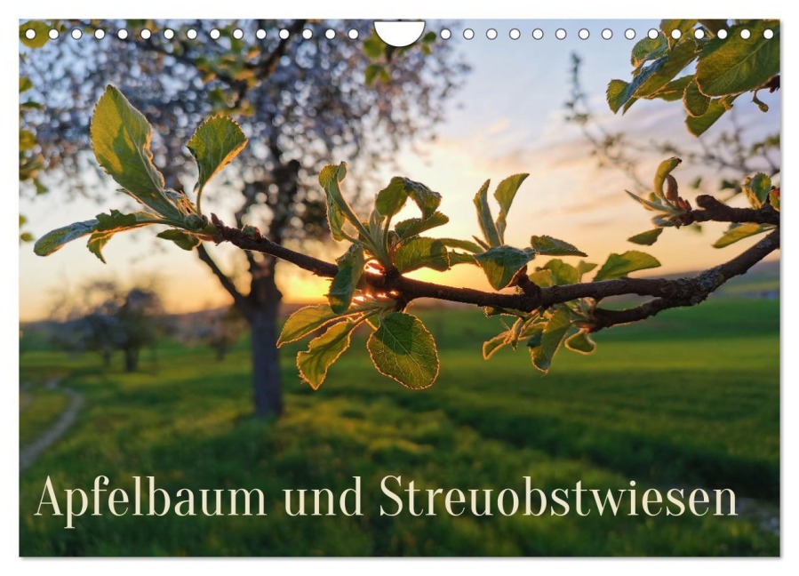 Apfelbaum und Streuobstwiesen (Wandkalender 2026 DIN A4 quer), CALVENDO Monatskalender - Stefan Weis