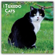 Cover-Bild zum Titel 'Tuxedo Cats - Tuxedo Katzen 2027 - 16-Monatskalender' von 'Browntrout Publishers'