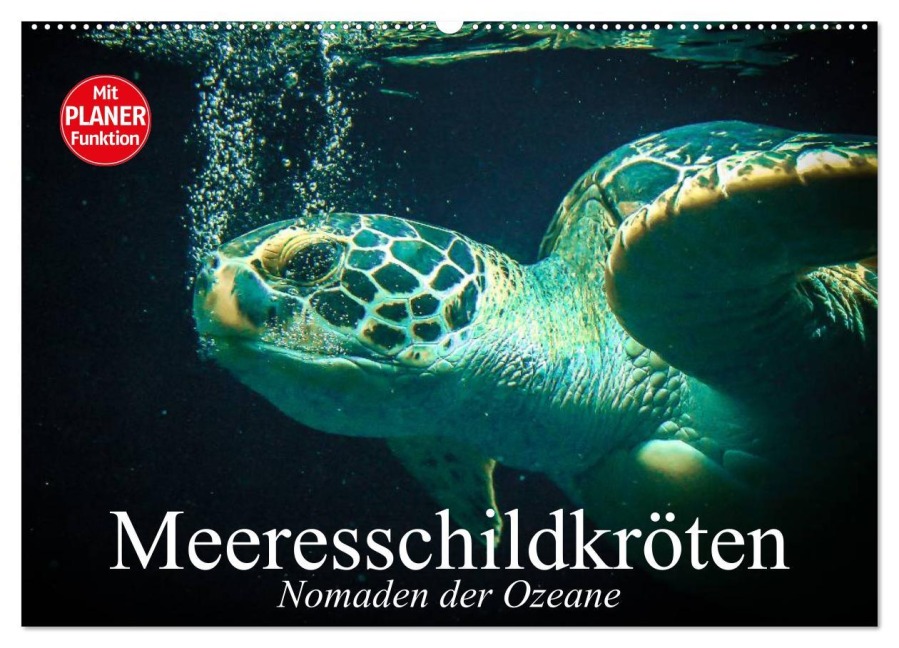 Meeresschildkröten. Nomaden der Ozeane (Wandkalender 2025 DIN A2 quer), CALVENDO Monatskalender - Elisabeth Stanzer