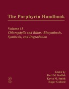 Cover-Bild zum Titel 'The Porphyrin Handbook' von ''