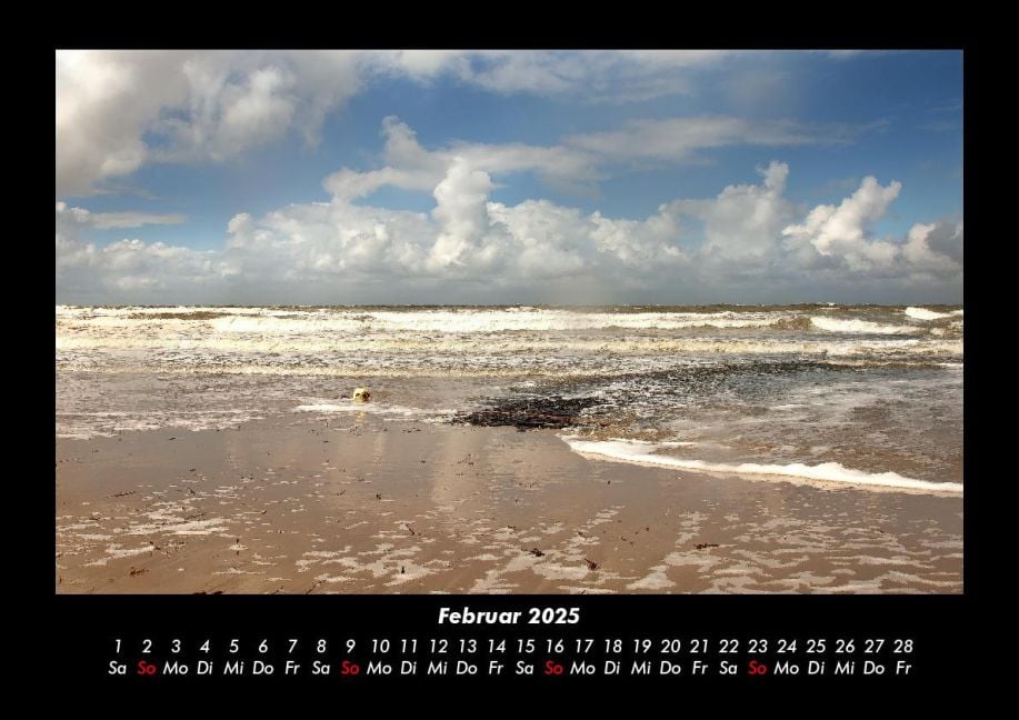 InsideView 6