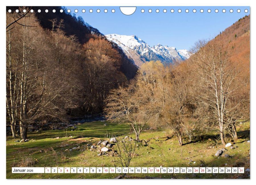 InsideView 6