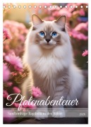 Pfotenabenteuer - Ragdolls in der Natur (Tischkalender 2026 DIN A5 hoch), CALVENDO Monatskalender - Fotodesign Verena Scholze