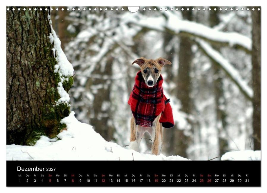 InsideView 4