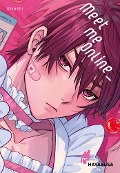 Cover-Bild zum Titel 'Meet me Online' von 'Uikashi'