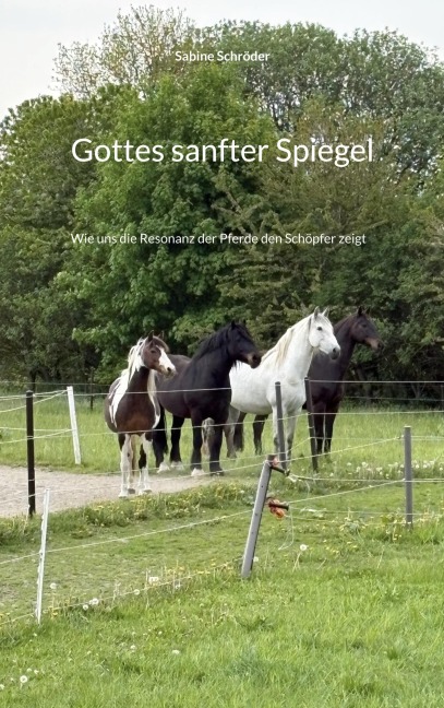 Gottes sanfter Spiegel - Sabine Schröder
