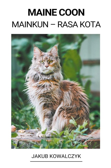 Maine Coon (Mainkun - Rasa Kota) - Jakub Kowalczyk