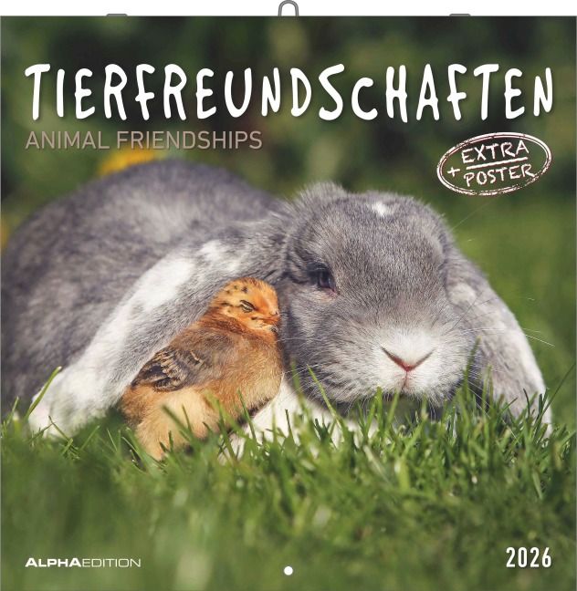 Tierfreundschaften 2026 - Broschürenkalender 30x30 cm (30x60 geöffnet) - Kalender mit Platz für Notizen - Animal Friendships - Bildkalender - Planer - 
