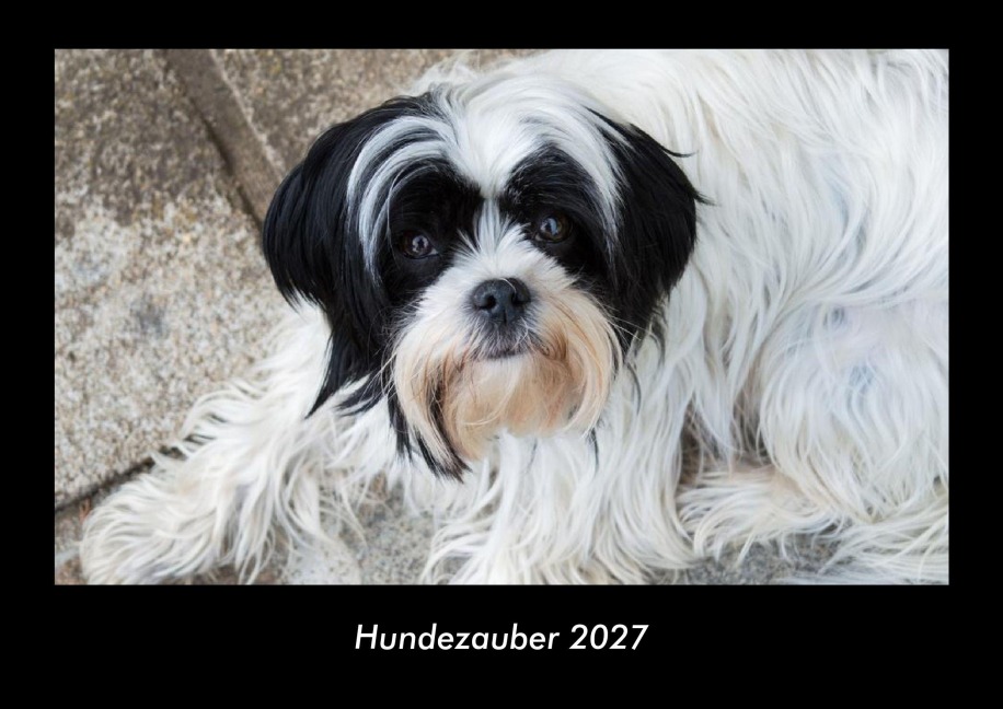 Hundezauber 2027 Fotokalender DIN A3 - Tobias Schmitt, Kevin Heber