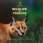 Cover-Bild zum Titel 'Wildife Of Türkiye' von 'Bülent Gözcelioglu'