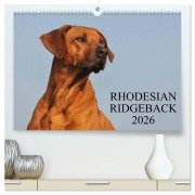 Cover-Bild zum Titel 'Rhodesian Ridgeback 2026 (hochwertiger Premium Wandkalender 2026 DIN A2 quer), Kunstdruck in Hochglanz' von 'Sigrid Starick'