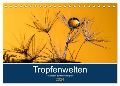 Tropfenwelten; Faszination der Makrofotografie (Tischkalender 2024 DIN A5 quer), CALVENDO Monatskalender - Doris Jachalke