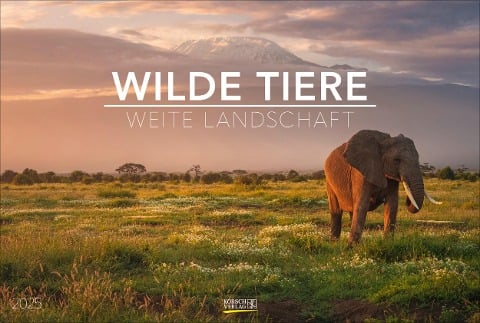 Wilde Tiere - weite Landschaft 2025 - 