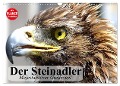 Der Steinadler. Majestätischer Greifvogel (Wandkalender 2025 DIN A3 quer), CALVENDO Monatskalender - Elisabeth Stanzer