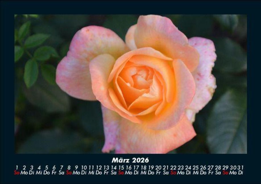 InsideView 7