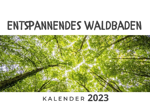 Entspannendes Waldbaden - Bibi Hübsch