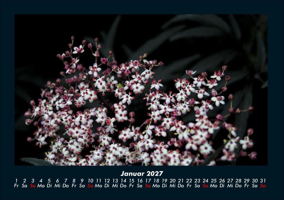 InsideView 5
