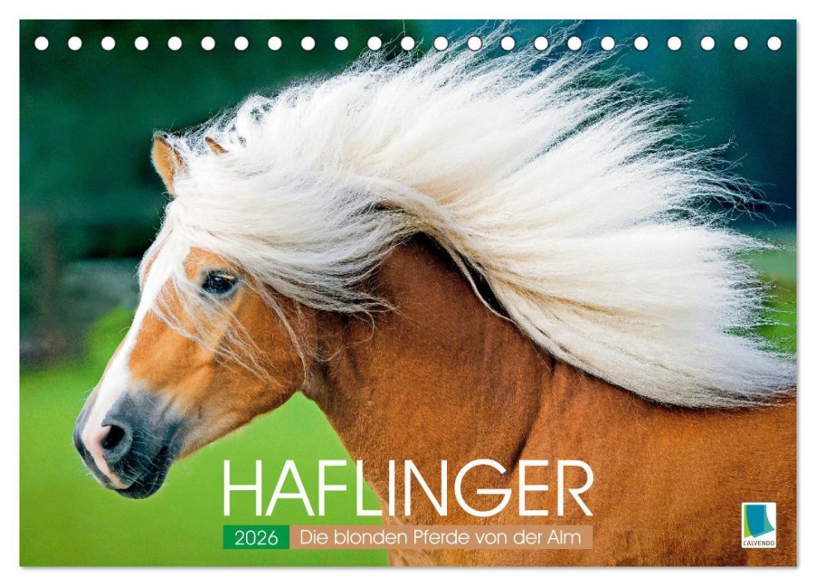Haflinger: Die blonden Pferde von der Alm (Tischkalender 2026 DIN A5 quer), CALVENDO Monatskalender - Calvendo Calvendo