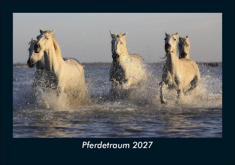 Pferdetraum 2027 Fotokalender DIN A5 - Tobias Schmitt, Kevin Heber