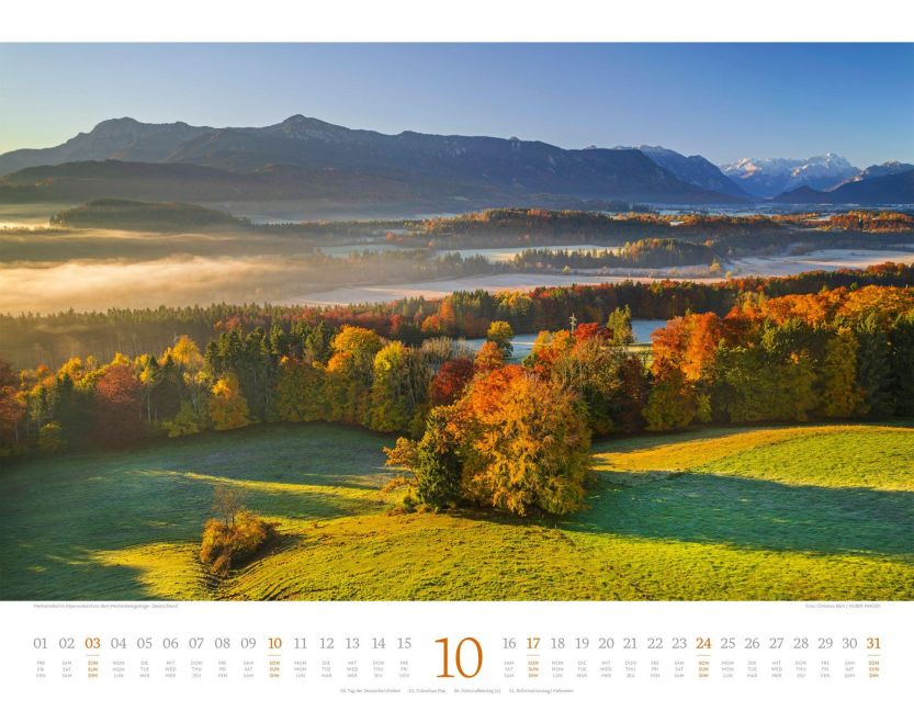 InsideView 10