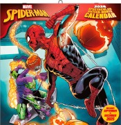 SPIDER-MAN - Broschürenkalender im Format 30 x 30 - 