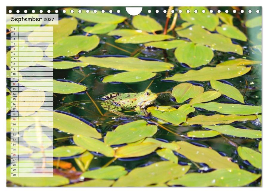 InsideView 14