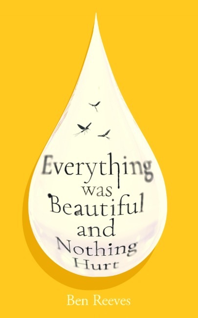 Everything was Beautiful and Nothing Hurt - Ben Reeves
