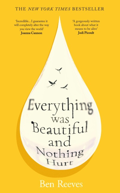 Everything was Beautiful and Nothing Hurt - Ben Reeves