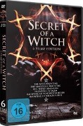 Cover-Bild zum Titel 'Secret of a Witch' von 'Zachary Fletcher; Ryan Dunn'