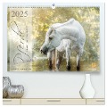 Pferde - Anmut, Eleganz, Magie (hochwertiger Premium Wandkalender 2025 DIN A2 quer), Kunstdruck in Hochglanz - Sabrina Mischnik